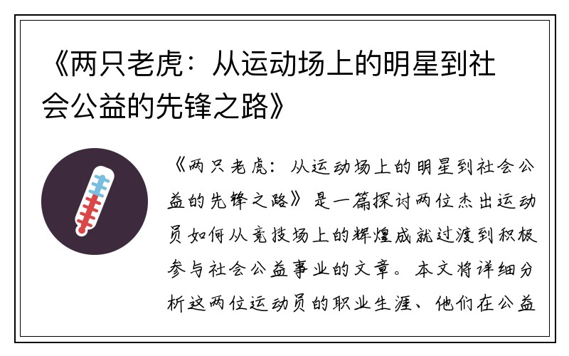 《两只老虎：从运动场上的明星到社会公益的先锋之路》