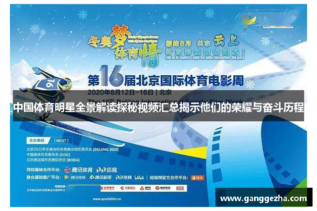 中国体育明星全景解读探秘视频汇总揭示他们的荣耀与奋斗历程