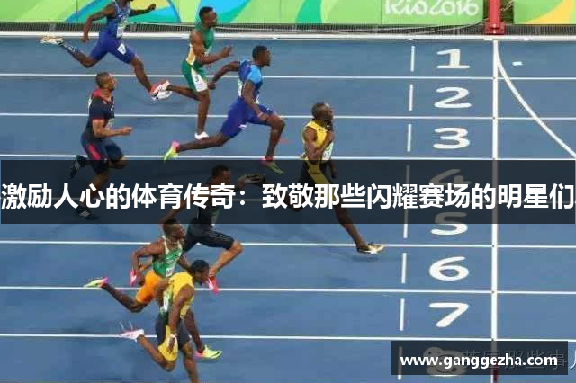 激励人心的体育传奇：致敬那些闪耀赛场的明星们