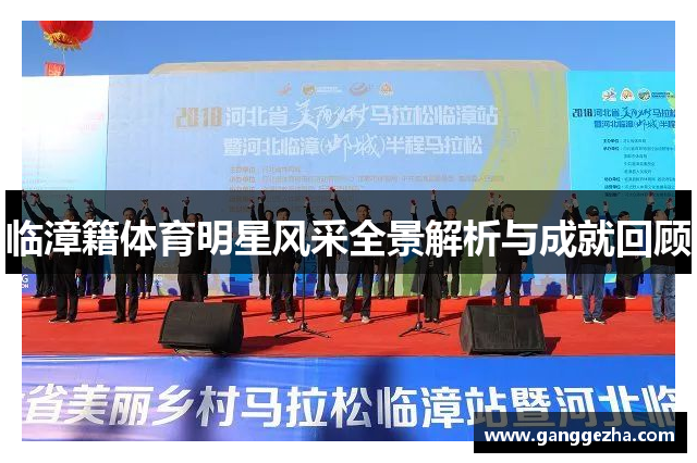 临漳籍体育明星风采全景解析与成就回顾