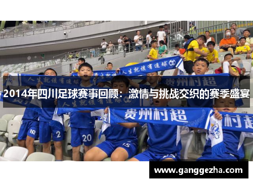 2014年四川足球赛事回顾：激情与挑战交织的赛季盛宴